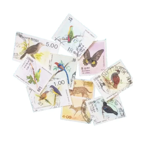Main product image