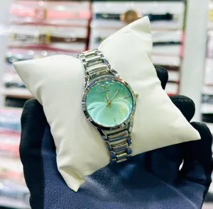 CK ├é┬áBrand Ladies Watch Stainless Steel Silver ├é┬áfor Girls Watch