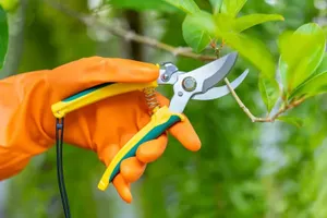 Pruning Garden Shears (P07010)